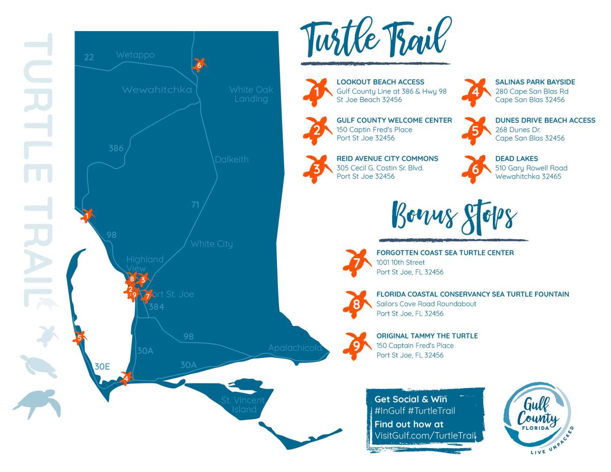 Turtle Trail Gulf County, FL See Our Wild Side