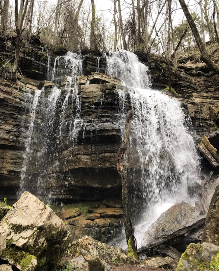 bethel springs nature preserve on the land trust