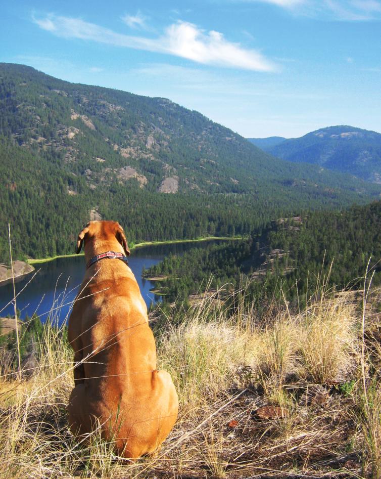 Rose Valley Regional Park