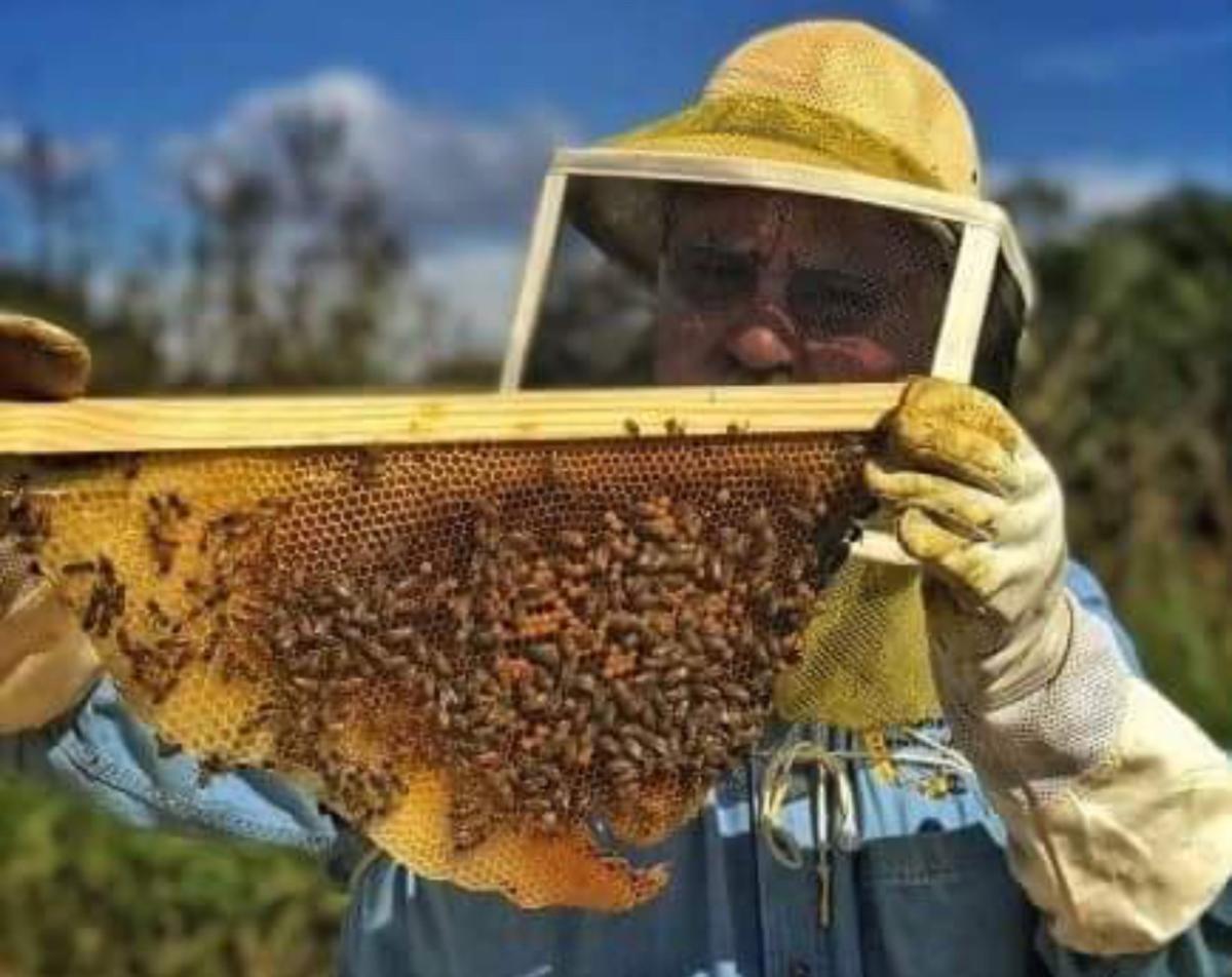 Farm Fusion bee keeper
