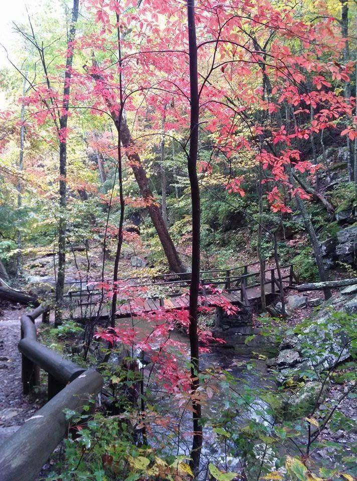 Roaring Run Trail - Fall Photo