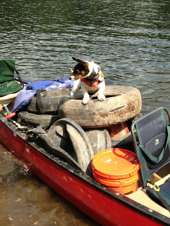 Delaware River Cleanup