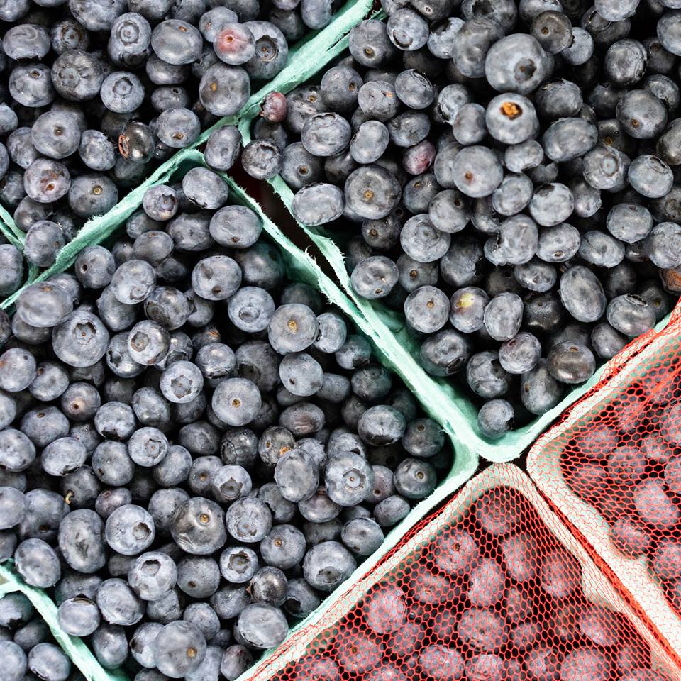 Blueberries Princeton Farmers' Market