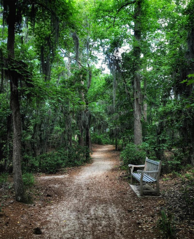 Cape Henry Trail in VA Beach