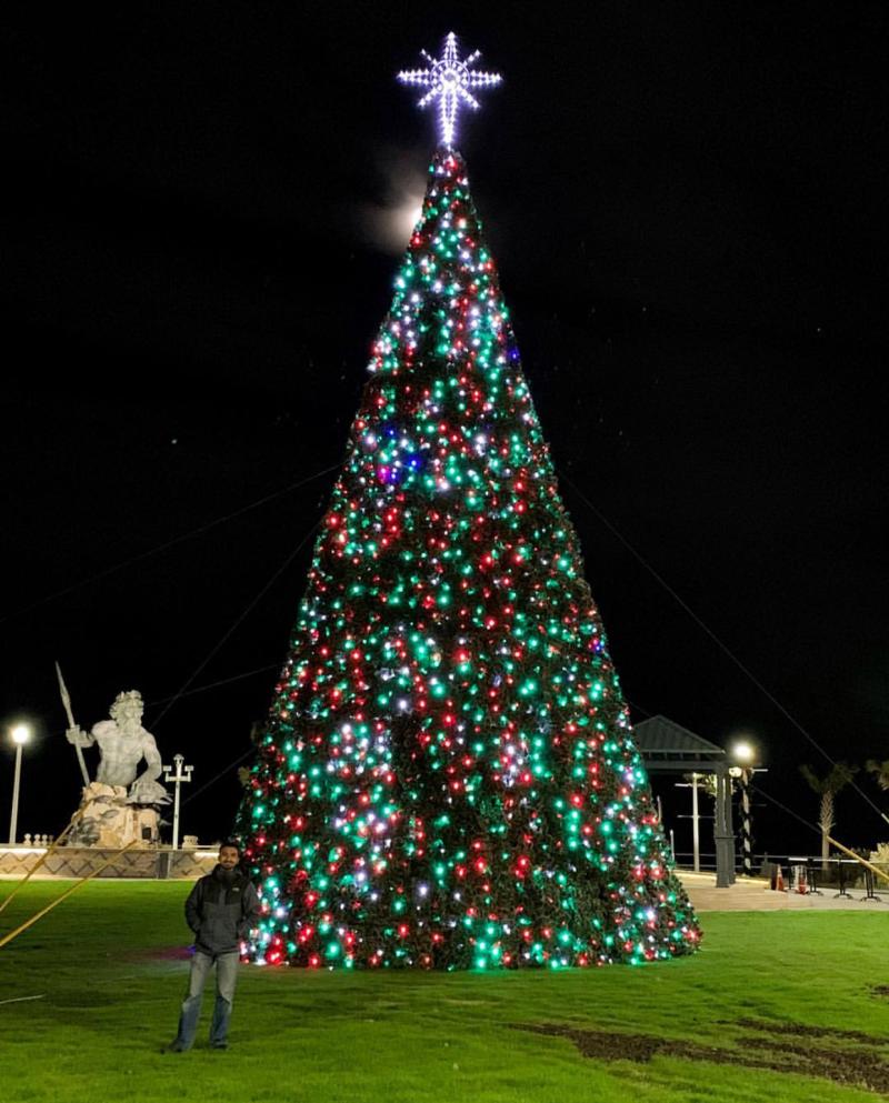 Neptune Park Christmas Tree