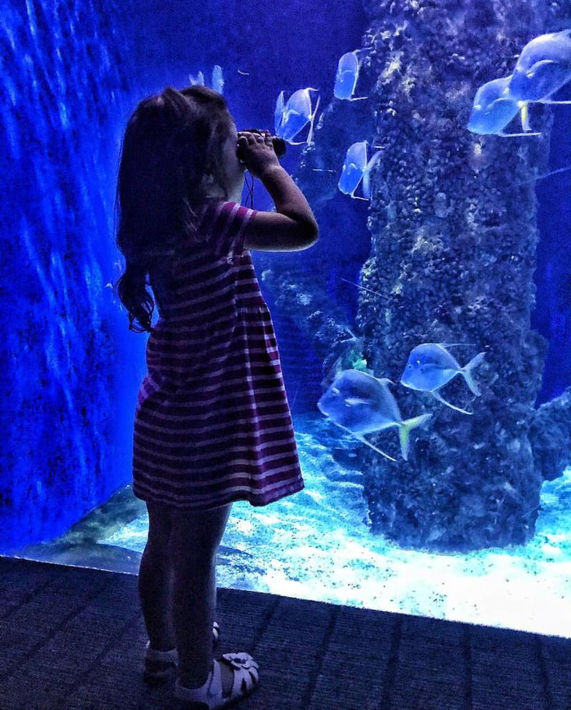 Virginia Aquarium