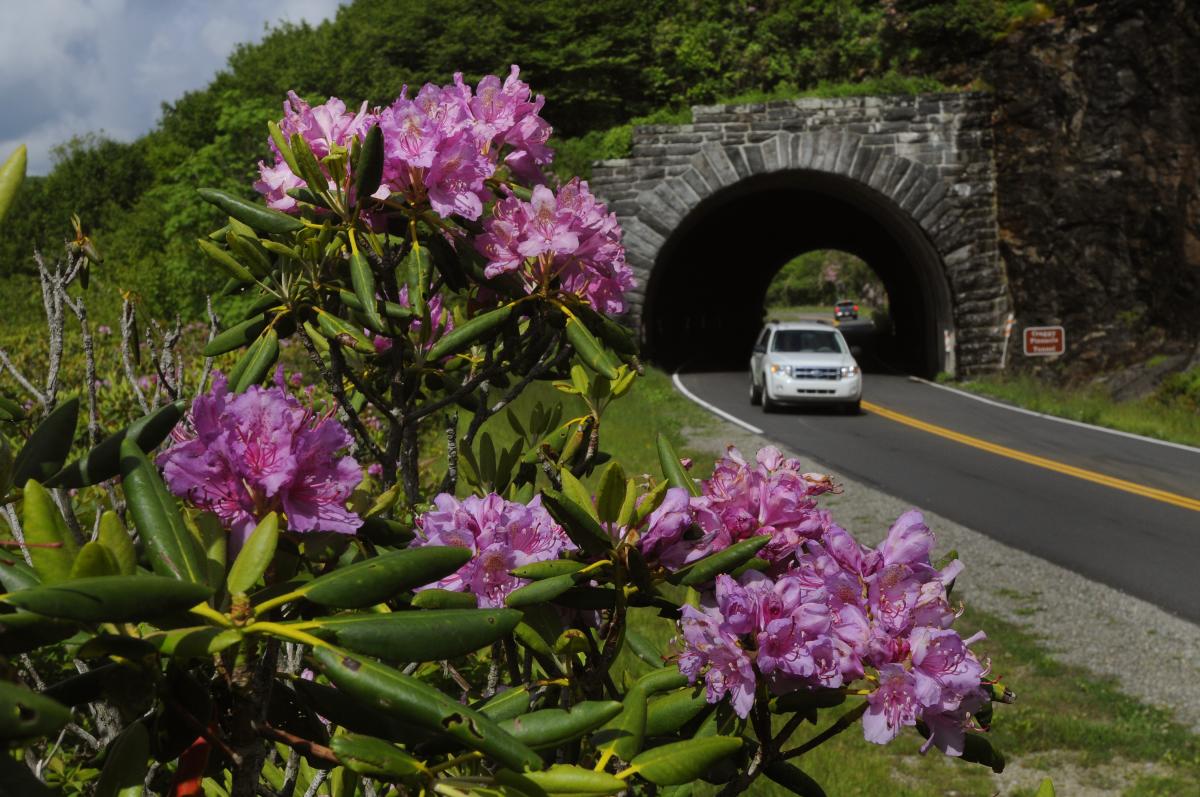 Blue Ridge Parkway Tunnel Summer