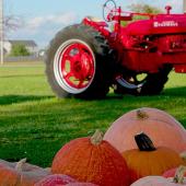Ultimate Fall Family Getaway