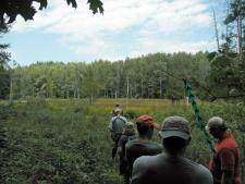 Friends of Sleeping Bear Dunes trail-building crew exploring the unique "kettle bog" located along the trail.