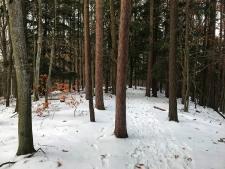 Approaching the Big Glen Lake Overlook
