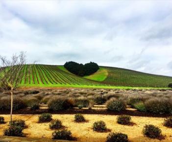 Heart Hills in Paso Robles
