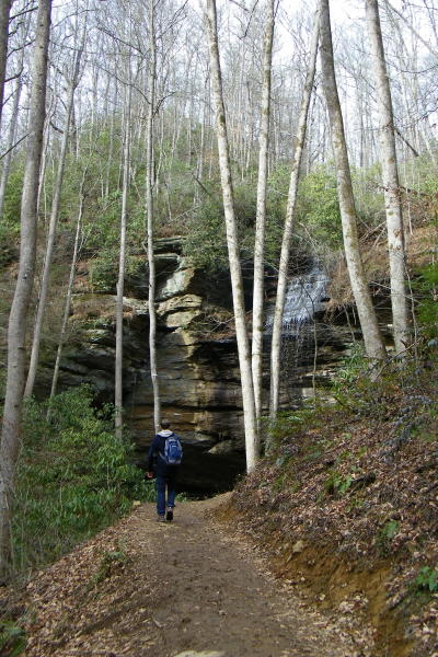 Moore's Cove Hiking