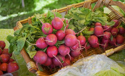 Ypsilanti Farmers Market