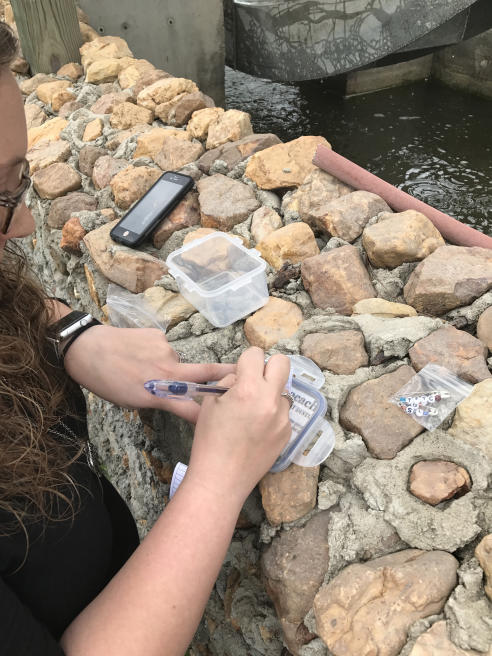 Geocaching Stop