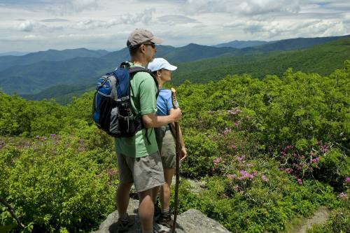 Hiking Craggy Gardens