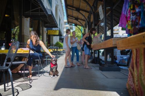 Pet Friendly Dining at the Grove Arcade