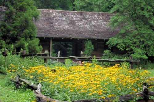 Botanical Gardens