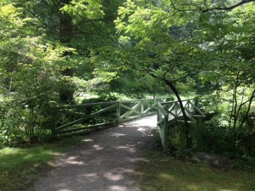 Asheville Botanical Gardens Trails