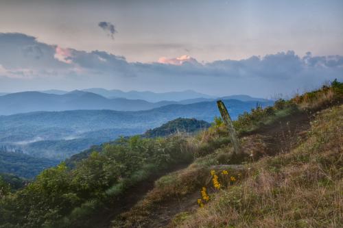 Max Patch Hike