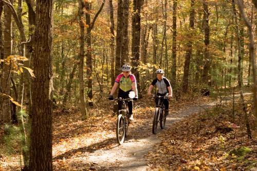 Biking in the Fall