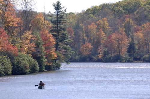 Canoeing on the Lake