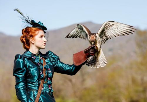 Falconry in Serafina