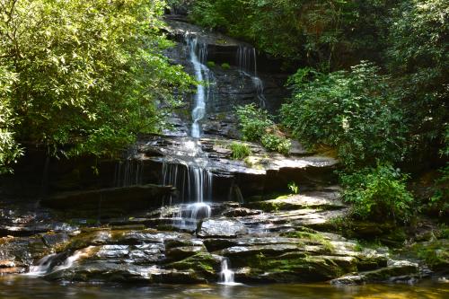 Great Smoky Mountains National Park | Day Trip Itineraries from Asheville