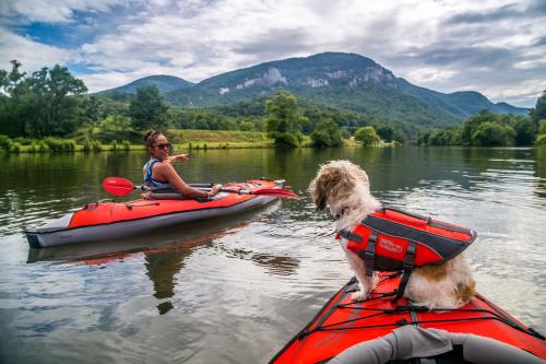 Woman kayaking on lake with dog