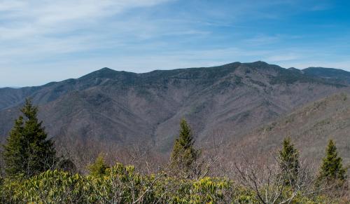 Graybeard Mountain Trail Summit