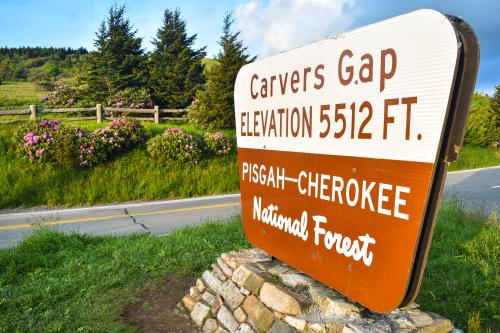 Carver's Gap Sign at Roan Mountain