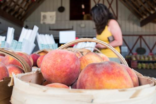 Grandad's Apples