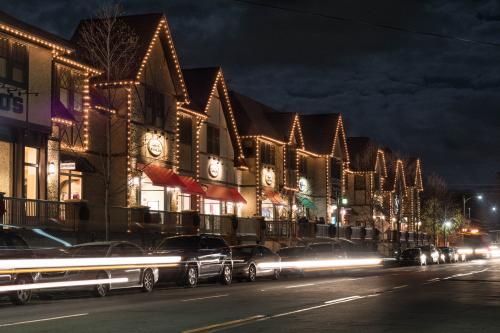 Biltmore Village Lights 2017