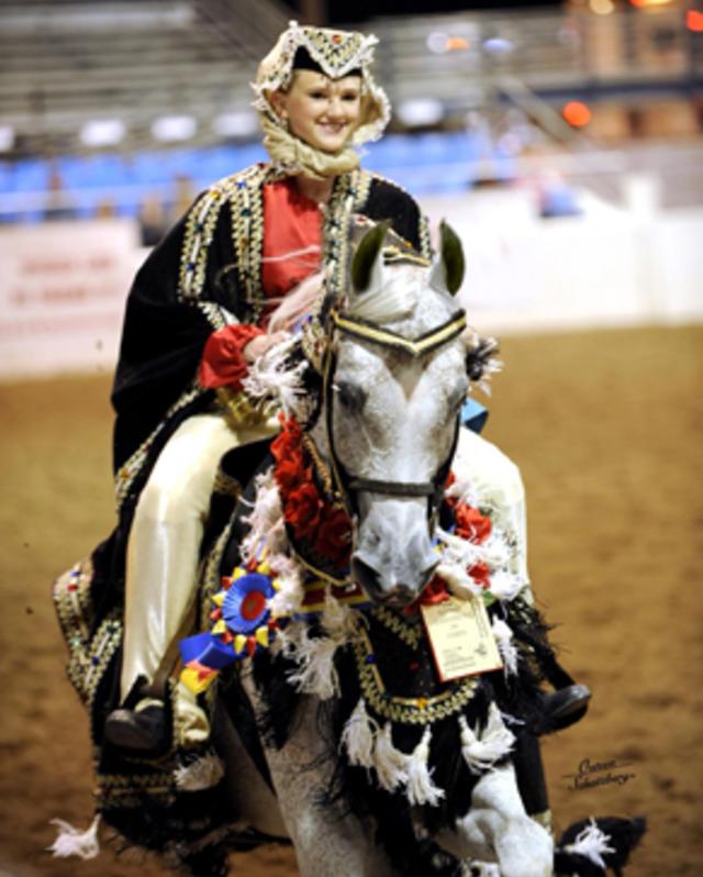 Arabian Horse Association Of Arizona Scottsdale Az 85267