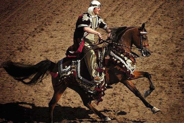 Az Horse Fair 2022