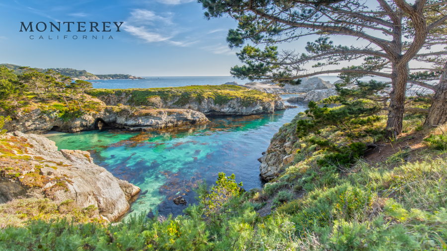 Point Lobos, Carmel, CA Zoom Background