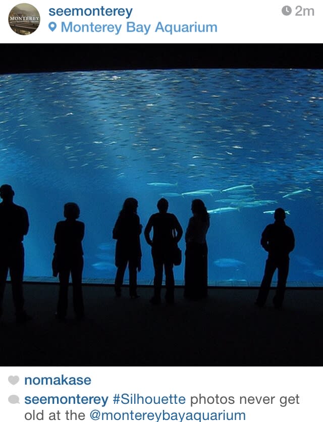 Open Sea Gallery, Monterey Bay Aquarium