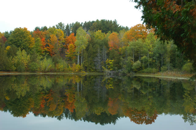 Early fall color just south of town