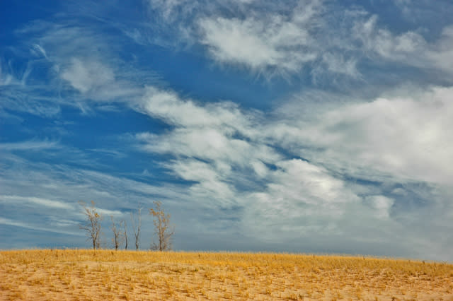 November at Sleeping Bear: dune grass, cottonwoods and clouds. 