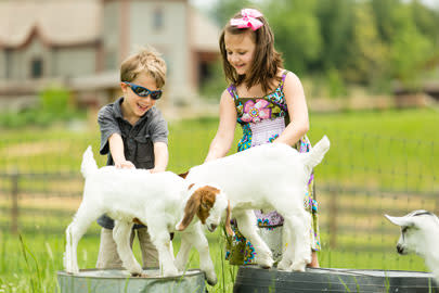 Kids with a kid on a farm in Asheville, NC Kids with a kid on a farm in Asheville, NC