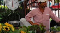 Farmers Market Vendor