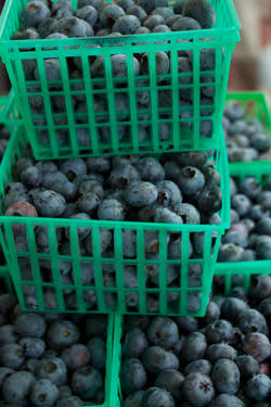 Blueberry Buttermilk Tart Recipe | ExploreAsheville.com