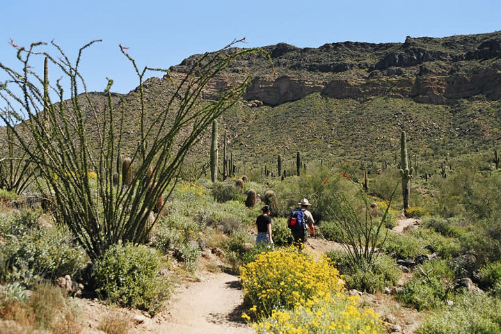 Usery Mountain Regional Park