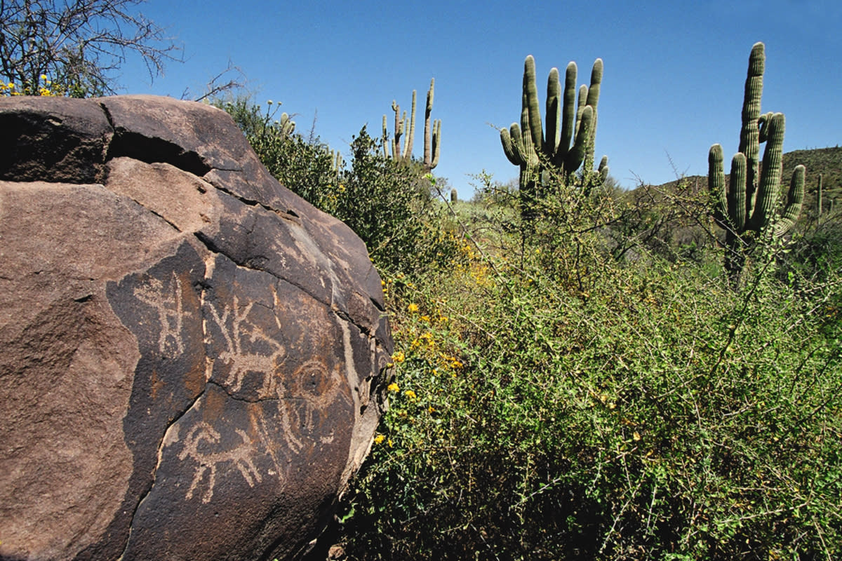 Usery Mountain Regional Park Petroglyphs