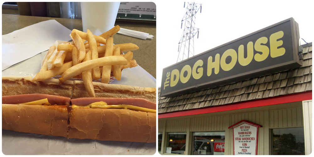 Dog House