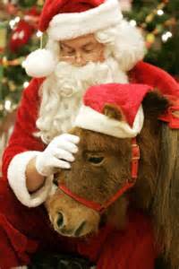 Santa will be with the ponies at Strides to Success in Plainfield on Dec. 12 and 13. Santa will be with the ponies at Strides to Success in Plainfield on Dec. 12 and 13.