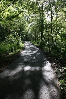 Once you arrive at Arbuckle Acres Park, it doesn't take long to forget that you are actually in suburbia. Arbuckle Acres Park, Brownsburg, Indiana