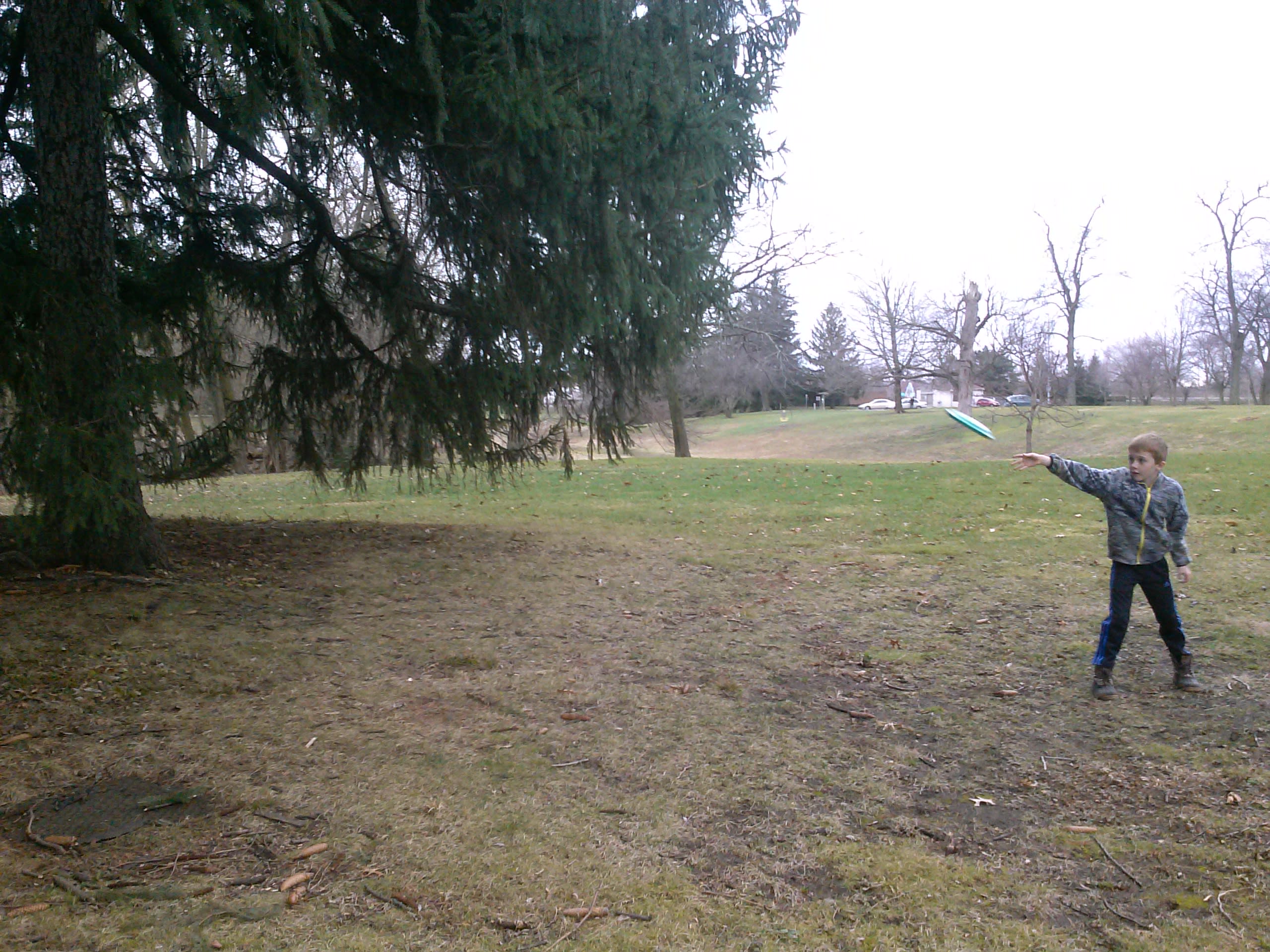 Disc Golf at Swinney Park