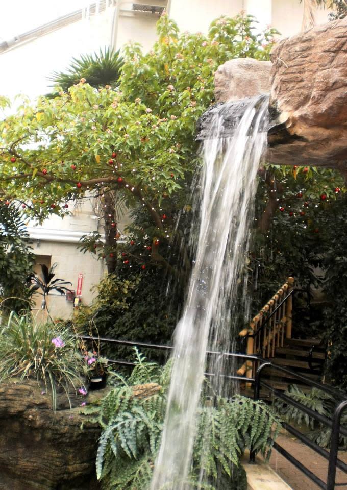 The waterfall at the Conservatory is always a highlight for me!