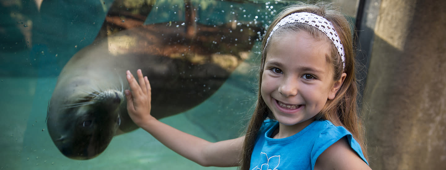Fort Wayne Children's Zoo Sea Lion