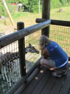 Susie Wayne stops by the Fort Wayne Children's Zoo to feed the giraffes every time she visits Fort Wayne